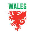 UnitedFutballJersey Wales national team football jerseys
